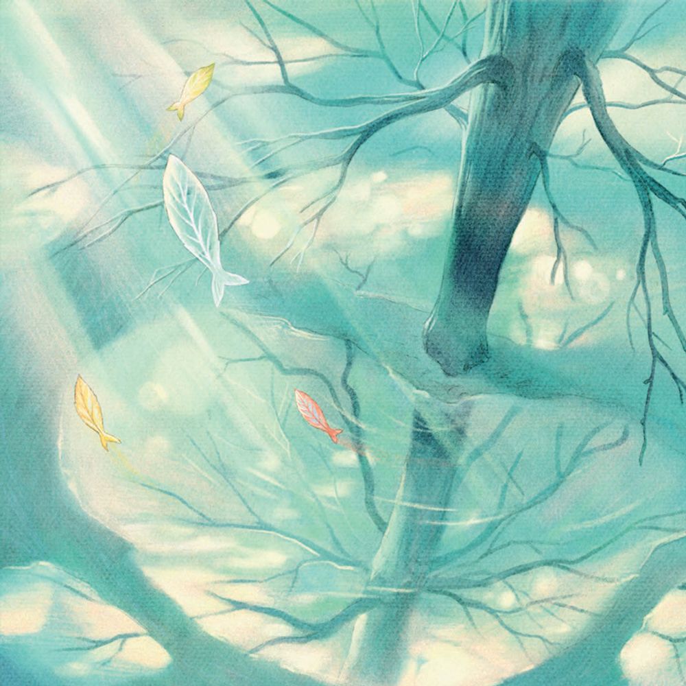 Девочка из ракушки