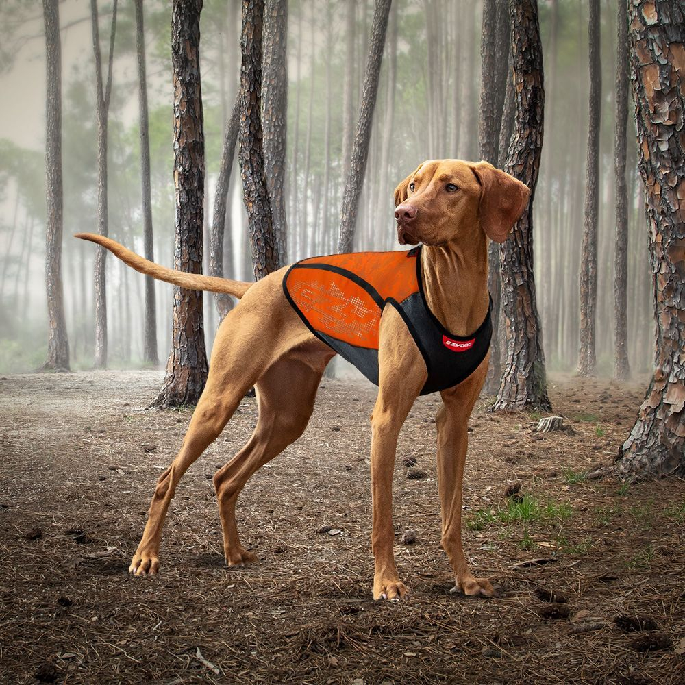 Терможилет Thermax EzyDog