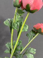 Ранункулюс розовый (h73 см)