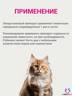 Робенекс 6 мг таблетки противовоспалительные и обезболивающие для кошек, 10 таб