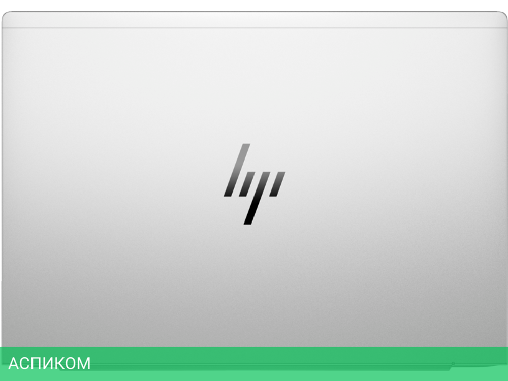 Ноутбук HP EliteBook 665 G11 Silver (8Z717AV)