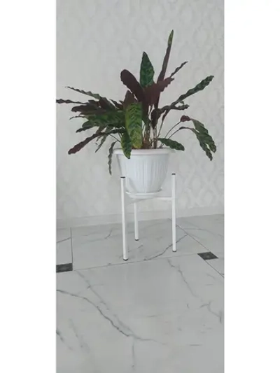 Подставка для растения