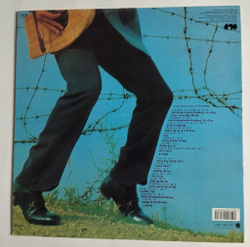 Винтажная виниловая пластинка LP Adriano Celentano Адриано Челентано Prisencolinensinainciusol (Germany 1986)