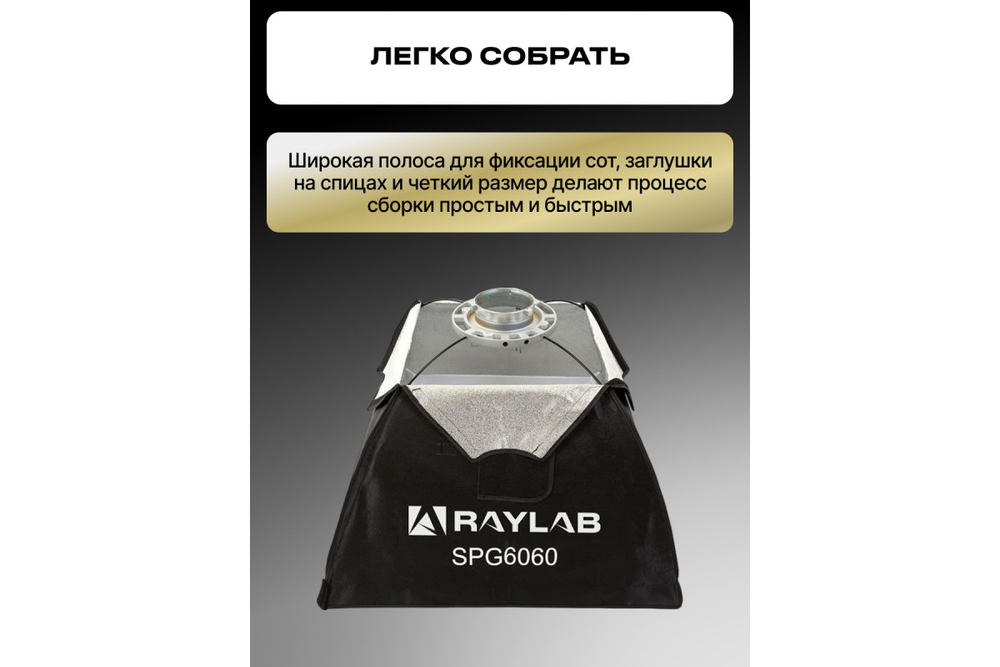 Софтбокс Raylab SPG6060 с сотами