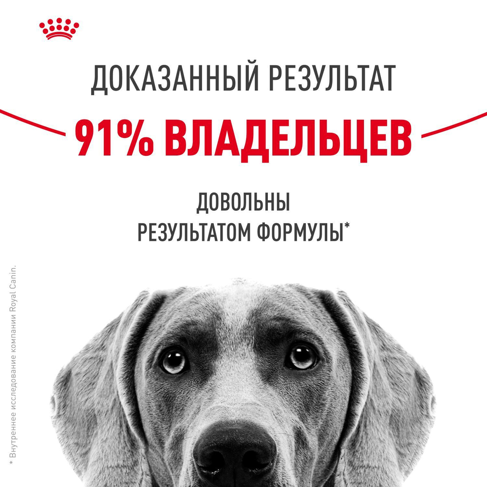 Royal Canin Maxi Dermacomfort Корм сухой для взрослых собак крупных размеров 3кг