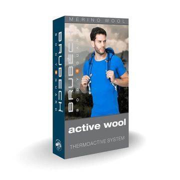 Кальсоны мужские BRUBECK  Active wool LE11820/LE11710