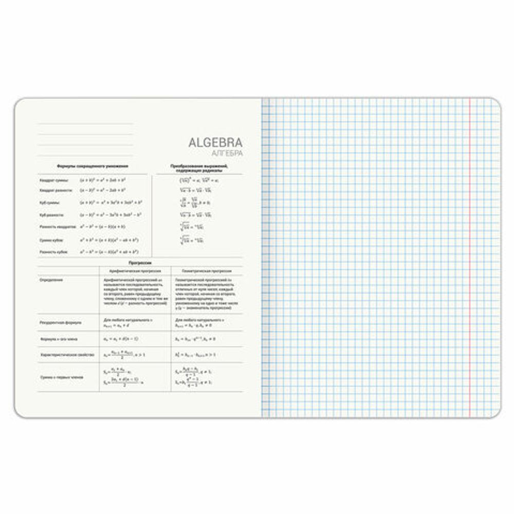 Тетрадь предметная PIGMENT 48 л., глянцевый УФ-лак, АЛГЕБРА, клетка, подсказ, BRAUBERG, 404758