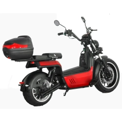Электроскутер SKYBOARD BR100-5000 (Amur)