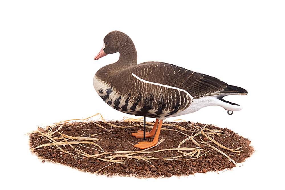 Белолобый гусь Duck Mania "ALFA" ЖИВОЕ ПЕРО мод. ALFA6B-DM-UV