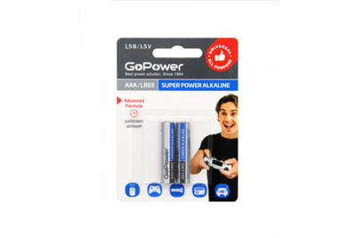 GoPower LR03 BL2 /2/24/480