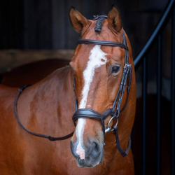 Оголовье трензельное Velociti RAPIDA Ergonomic Flash Bridle BLACK