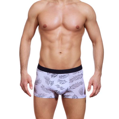 Мужские трусы боксеры серые  с принтом Sergio Dallini SG2310-1