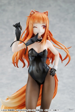 Holo