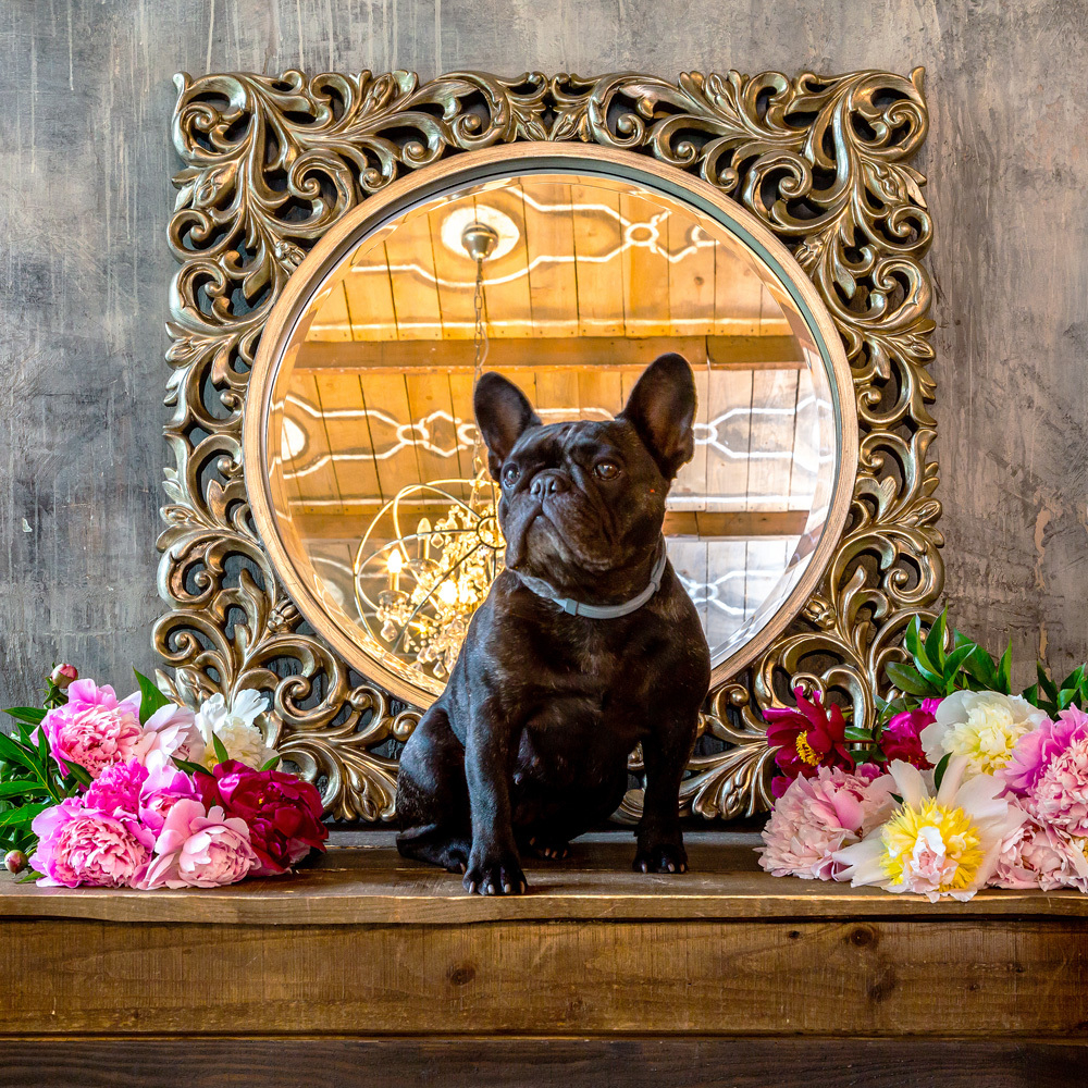 Настенное зеркало Жизель Объект мечты