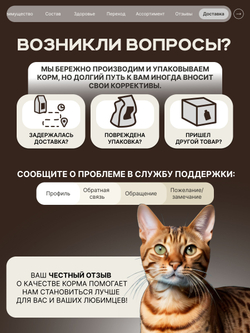 Корм сухой для взрослых кошек породы Бенгальская кошка, с лососем, 400 гр, QUATTRO