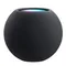 Apple Homepod
