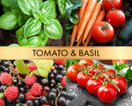 Tomato & basil (Томат и базилик)