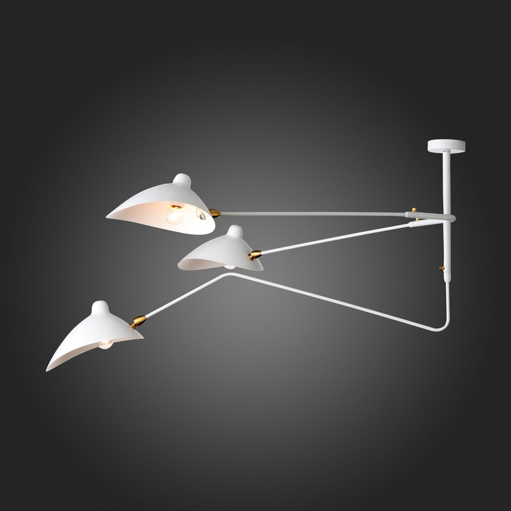 Люстра потолочная ST Luce Spruzzo SL305.502.03