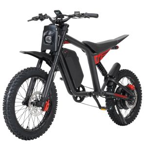 Электробайк Mangosteen FT-07 Mini 48V1000W18.2A (В НАЛИЧИИ)