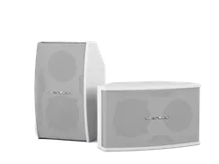 CVGAUDIO AXE5:8W нсталляционная акустическая система, мощность – 70W(AES)/140W(max)