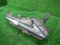 DSCN6204.JPG