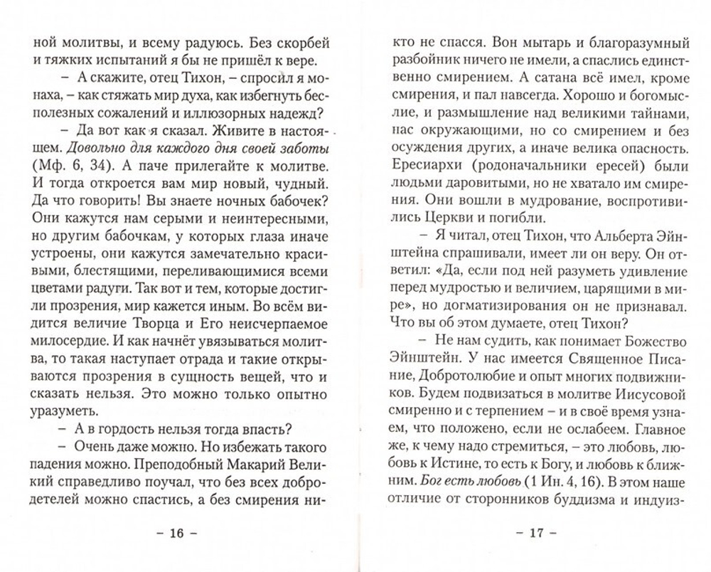 На высотах духа. Сергей Большаков