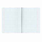 Тетрадь предметная "ELEGANCE" 48 л., SoftTouch, фольга, ГЕОГРАФИЯ, клетка, BRAUBERG, 404548