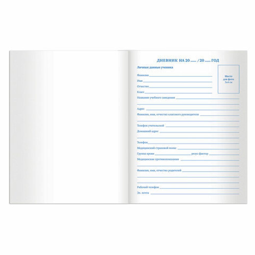 Дневник 5-11 класс 48 л., твердый, BRAUBERG, выборочный лак, с подсказом, "Лемур", 105592
