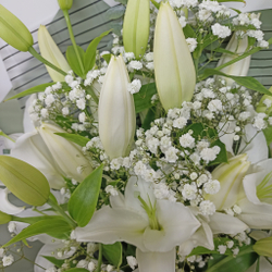 Ароматная лилия с гипсофилой