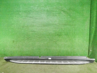 Накладка порога правая Mercedes GLS X167 (2019-н.в.)