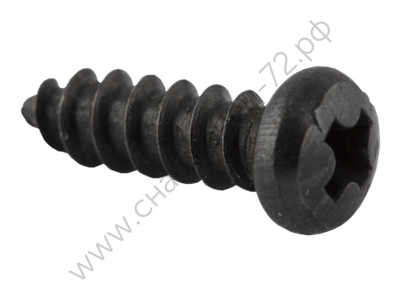 Винт М2.5×10 мм CS IFT0874