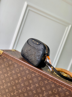 Louis Vuitton Tiny Camera Bag