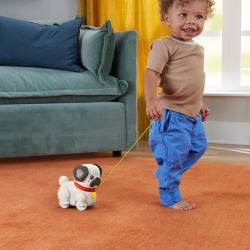 Fisher-Price - Ходячий моппи Тянущая игрушка HTW94 / артикул   HTW94  / GTIN 194735199112