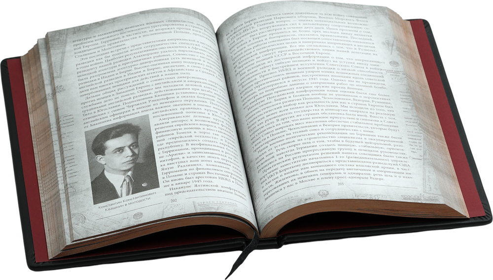 Разведка и Кремль. Записки нежелательного свидетеля