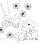 Lovely Dogs. Coloring book