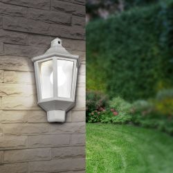 Садово-парковый светильник ЭРА НБУ 06-60-003 Ника 60Вт белый прозрачный