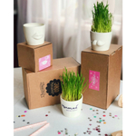 Набор для выращивания eco мини-кашпо «Губы»