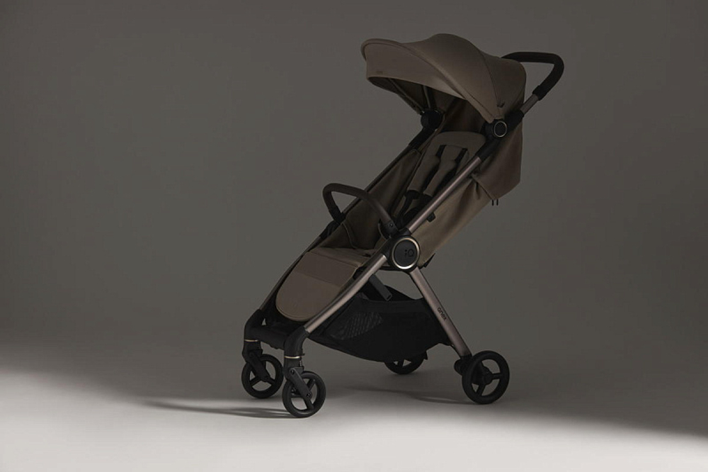 Детская коляска Anex iQ Premium NT 2 в 1 iQ-13-DNA seal