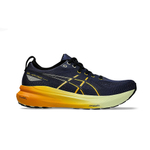 Мужские кроссовки ASICS GEL-KAYANO 31