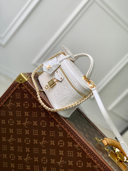 Louis Vuitton Vanity Chain Pouch