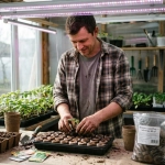 Поддон с кокосовыми таблетками и проростками