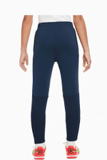 Штаны Nike Therma-Fit Academy Winter Warrior Junior