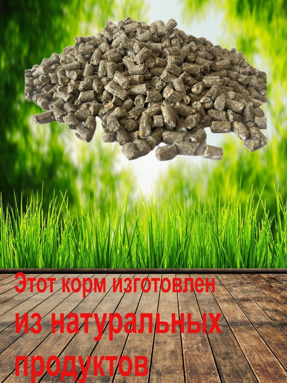 Гранулы мюсли для лошадей жеребят