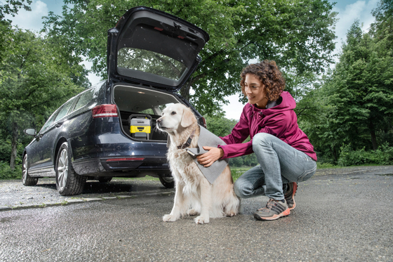 Салфетка для высушивания шерсти