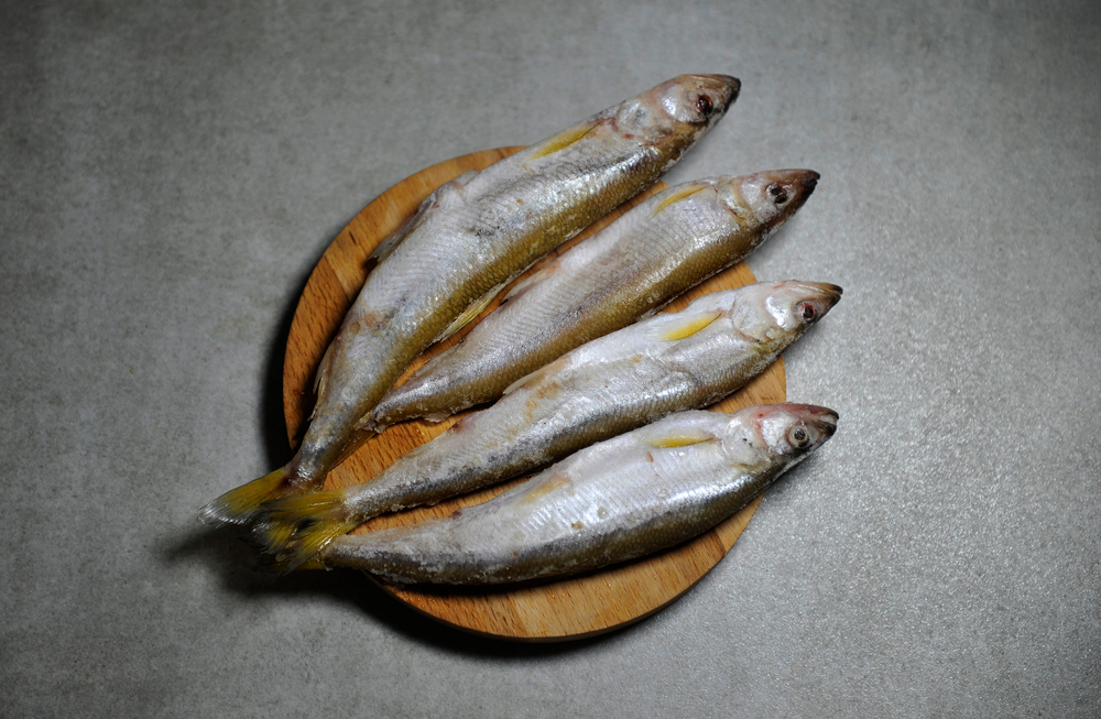 Корюшка зубарь, c/м н/р