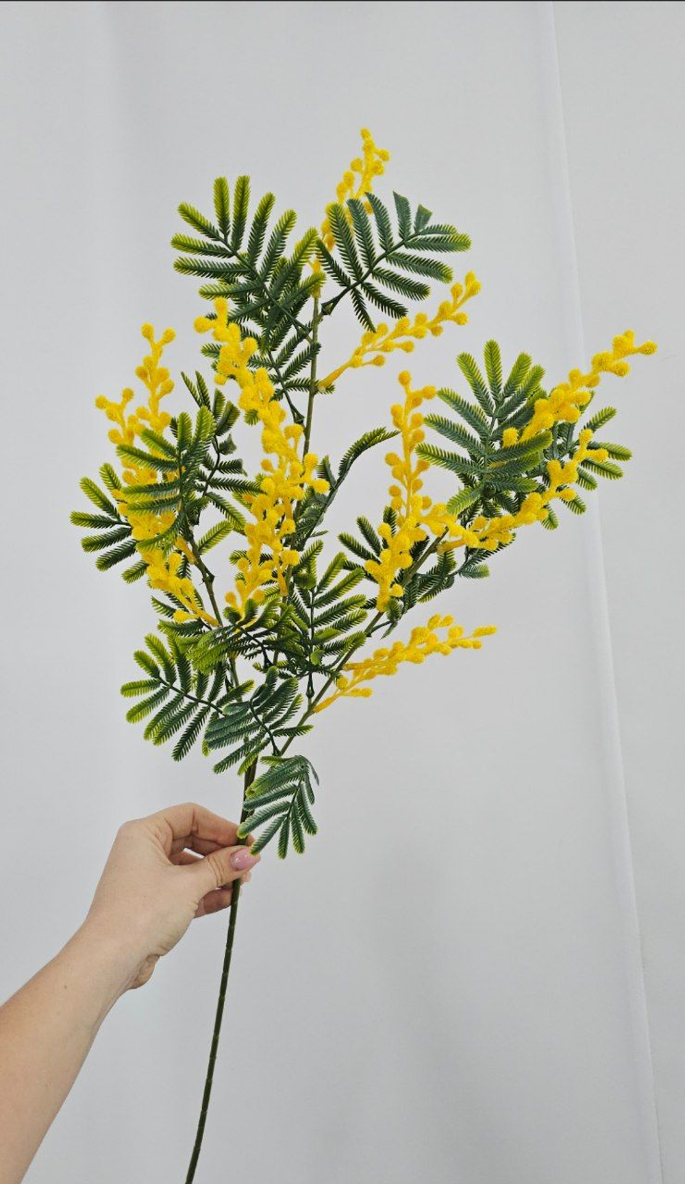 Мимоза / Арт 2379