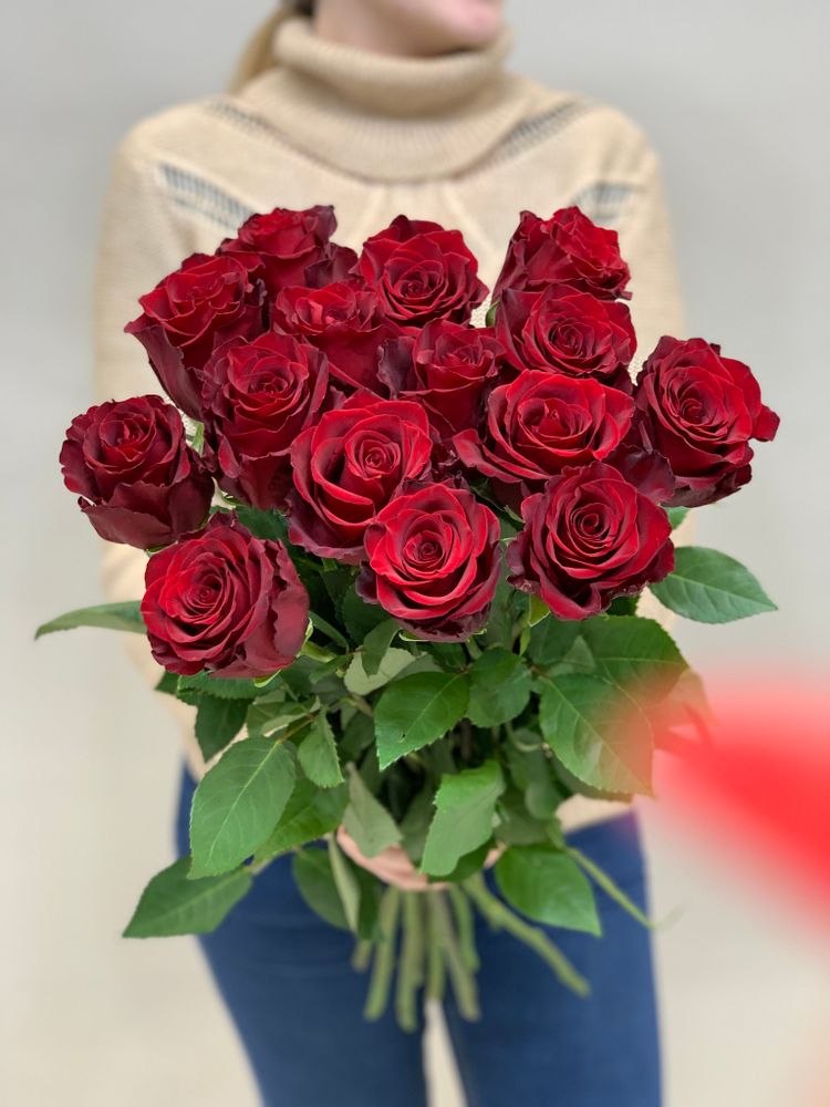 Букет 15 красных роз Эквадор 70 см в ленте