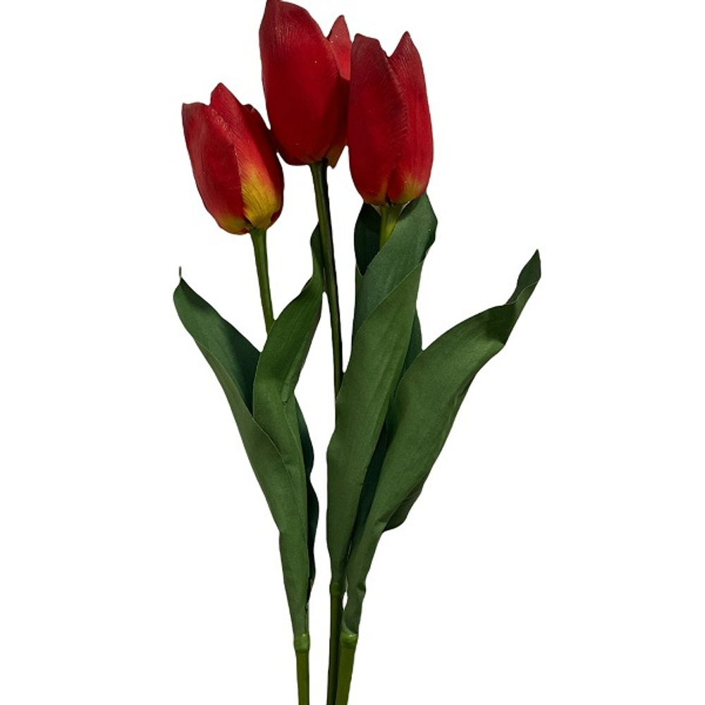 Тюльпан красный длинный  [Арт. 91348]