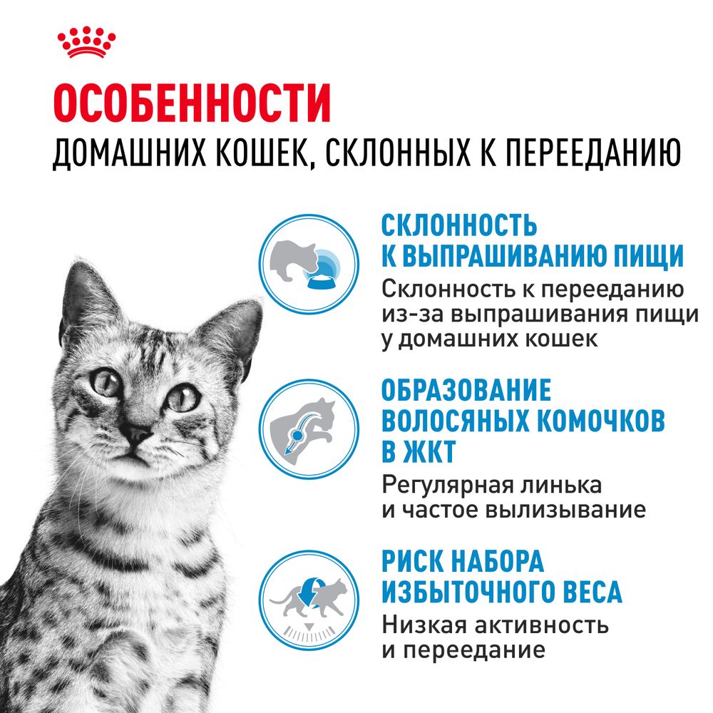 Сухой корм Royal Canin Indoor Appetite Control для взрослых кошек, живущих в помещении и склонных к перееданию