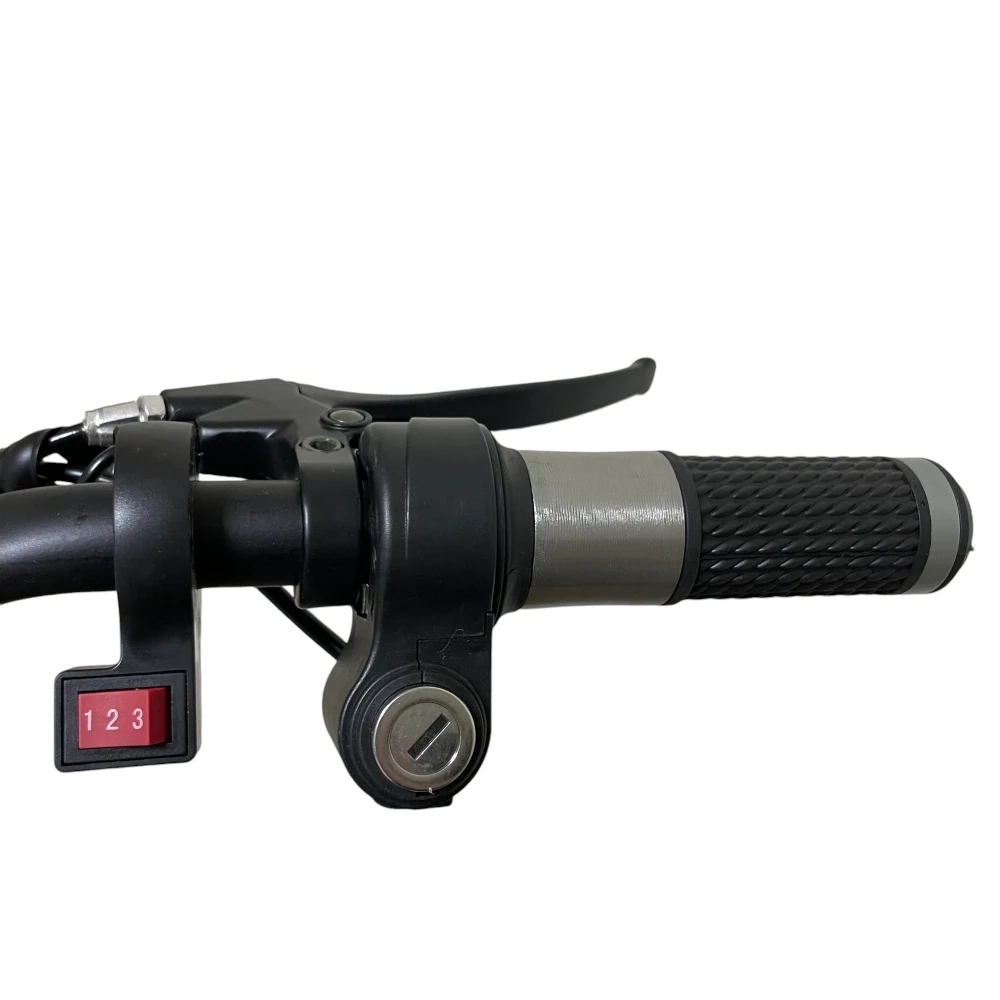 Электротрицикл CityCoco X5 trike mini черный